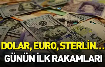 Dolar, euro, sterlin… Günün ilk rakamları