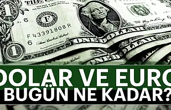 Dolar ve Euro Bugün Ne Kadar?