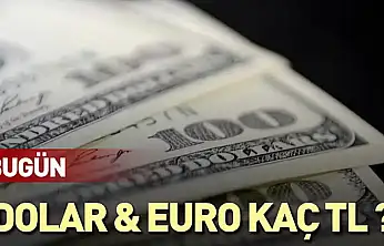 Dolar ve Euro ne kadar?