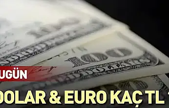 Dolar ve Euro ne kadar?