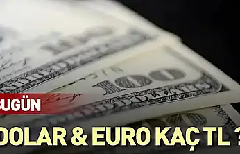 dolar ve euro ne kadar
