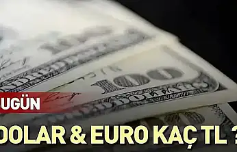 dolar ve euro ne kadar?