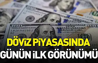 Döviz piyasasında günün ilk görünümü