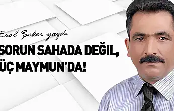 Erol Şeker yazdı: 'Sorun sahada değil, üç maymunda!'