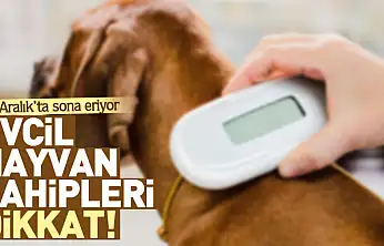 Evcil hayvan sahipleri dikkat! 31 Aralık'ta sona eriyor