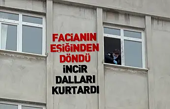 Facianın Eşiğinden Döndü, İncir Dalları Kurtardı
