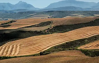 Fıkra gibi 2B süreci: Ne alan mutlu ne bekleyen