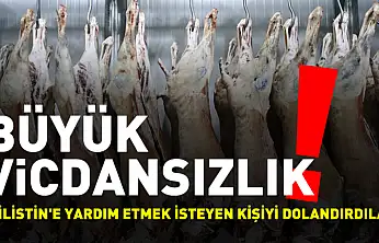 Filistin'e yardım için alınacak 600 ton et dolandırıcılıkla sonuçlandı
