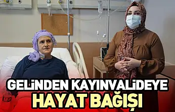 Gelinden Kayınvalideye Hayat Bağışı