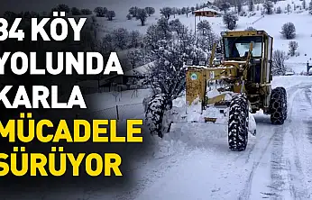 Giresun ve Gümüşhane'de 84 köy yolunda karla mücadele sürüyor