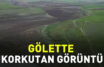 Gölette Korkutan Görüntü