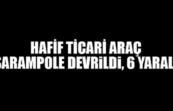Hafif Ticari Araç Şarampole Devrildi, 6 Yaralı