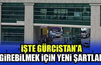 İşte Gürcistan'a girebilmek için yeni şartlar