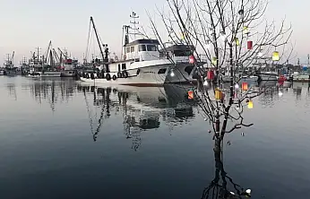 Japon Turistlere Davet: Kushimoto Parkı Samsun'da Hayat Buluyor