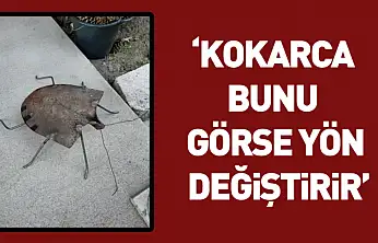 'Kokarca Bunu Görse Yön Değiştirir'