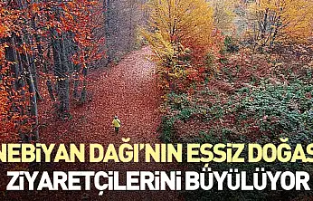 Nebiyan Dağı'nın Eşsiz Doğası Ziyaretçilerini Büyülüyor
