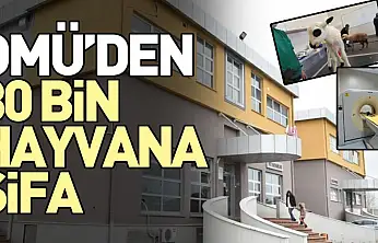 OMÜ'den 30 Bin Hayvana Şifa