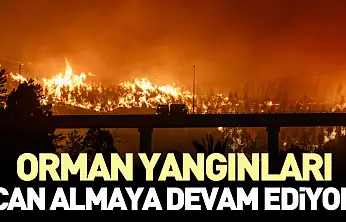 Orman Yangınları Can Almaya Devam Ediyor