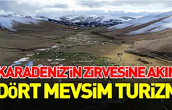 Perşembe Yaylası'na ziyaretçi akını
