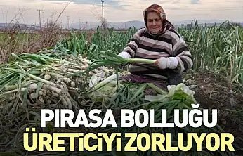 Pırasa Bolluğu Üreticiyi Zorluyor