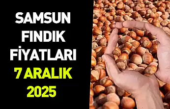 Samsun 7 Aralık 2025 Fındık Fiyatları | Piyasada Denge Arayışı Güçleniyor