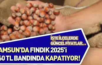 Samsun'da fındık 2025'i 260 TL bandında kapatıyor! İşte ilçelerde güncel fiyatlar…