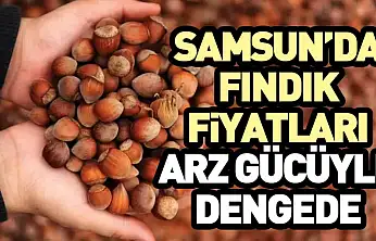 Samsun'da Fındık Fiyatları Arz Gücüyle Dengede