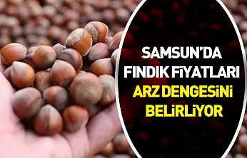Samsun'da Fındık Fiyatları Arz Dengesini Belirliyor