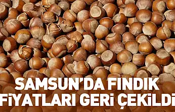 27 Ocak Samsun'da Fındık Fiyatları | Satışlar Yavaşladı
