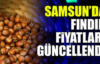 Samsun'da Fındık Fiyatları Güncellendi