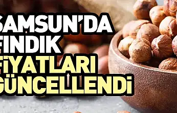 Samsun'da Fındık Fiyatları Güncellendi