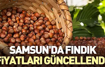 Samsun'da Fındık Fiyatları Güncellendi!