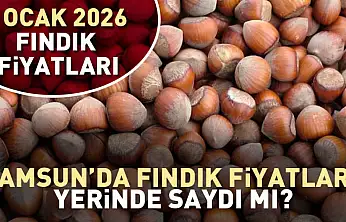 Samsun'da Fındık Fiyatları Yerinde Saydı mı? İşte Güncel Tablo