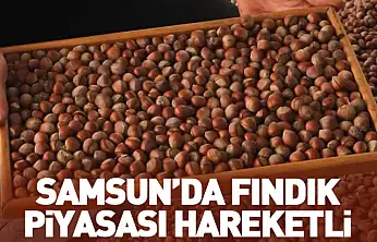 25 Ocak Samsun'da Fındık Fiyatları: Samsun'da Fındık Piyasası Hareketli