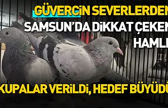 Samsun'da güvercin severler kupa töreninde buluştu