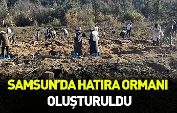 Samsun'da hatıra ormanı oluşturuldu
