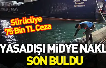 Samsun'da Kamyonette Kaçak Midye Operasyonu: 300 Kilo Ele Geçirildi
