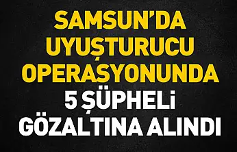 Samsun'da uyuşturucu operasyonunda 5 şüpheli gözaltına alındı