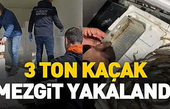 Samsun'da yasal boy sınırının altında 3 ton mezgit ele geçirildi