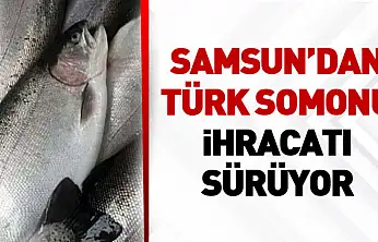 Samsun'dan Türk somonu ihracatı sürüyor