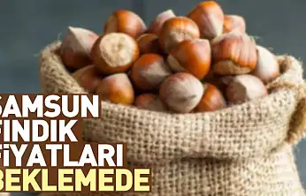 Samsun Fındık Fiyatları Beklemede | 27 Aralık'ta Satış Freni Sürüyor