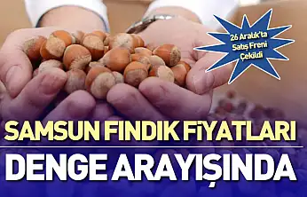 Samsun Fındık Fiyatları Denge Arayışında | 26 Aralık'ta Satış Freni Çekildi