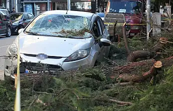 Samsun'u Fırtına Vurdu: Ağaçlar Devrildi, Araçlar Ezildi, Çatılar Havada Uçtu