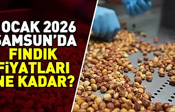 Samsun ve İlçelerinde Fındık Fiyatları Ne Kadar?