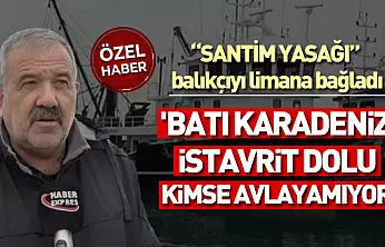 'Santim yasağı' balıkçıyı limana bağladı: 'Batı karadeniz istavrit dolu kimse avlayamıyor'