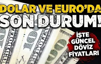 Serbest piyasada döviz fiyatları