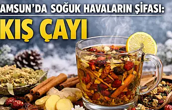 Soğuk havaların şifası kış çayı