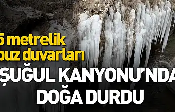 Şuğul Kanyonu'nda dev buz sarkıtları oluştu