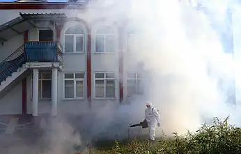 Tarım Zararlısına Karşı Çarşamba'da Mücadele Sürüyor