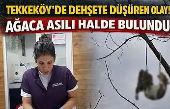 Tekkeköy'de dehşete düşüren olay! Ağaca asılı halde bulundu